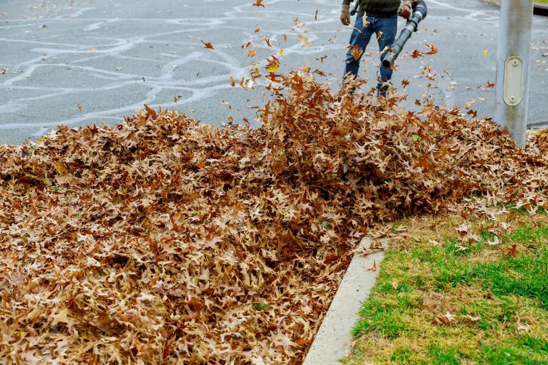 Using Leaf Blower Equipment